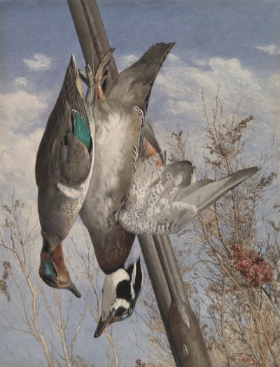 Oiseaux de gibier suspendus - John William Hill