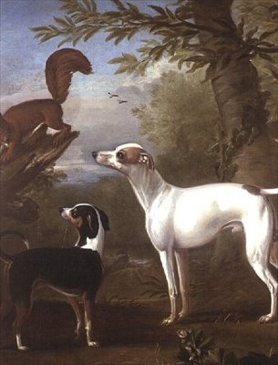 Deux chiens de chasse attirés par un écureuil sur une souche d