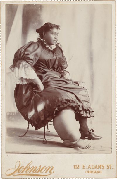 Portrait de femme, c. 1890 (photo) - Johnson