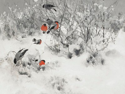 Des bouvreuils dans la neige - Jolly and Dash