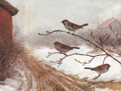 Moineaux des granges en hiver - Jolly and Dash
