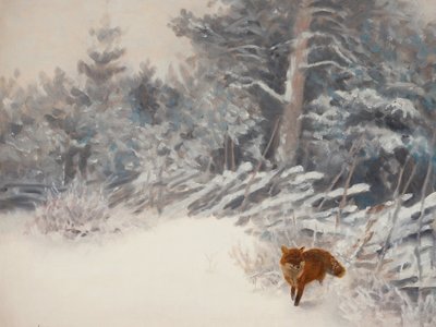 Renard des forêts en hiver - Jolly and Dash