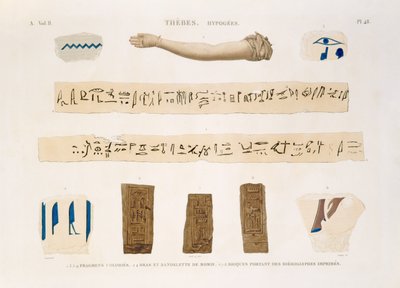 Illustrations de hiéroglyphes et le bras d