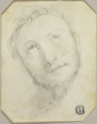 Tête d
