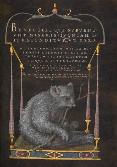 Un paresseux - Joris Hoefnagel