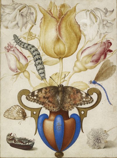 Arrangement de fleurs dans un vase, avec des insectes, 1594 (aquarelle avec or sur vélin) - Joris Hoefnagel