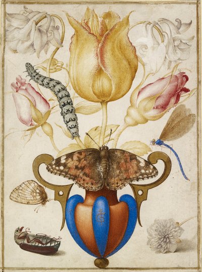 Arrangement de fleurs dans un vase, avec insectes, 1594 - Joris Hoefnagel
