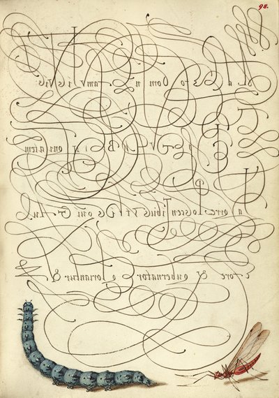 Chenille et insecte - Joris Hoefnagel