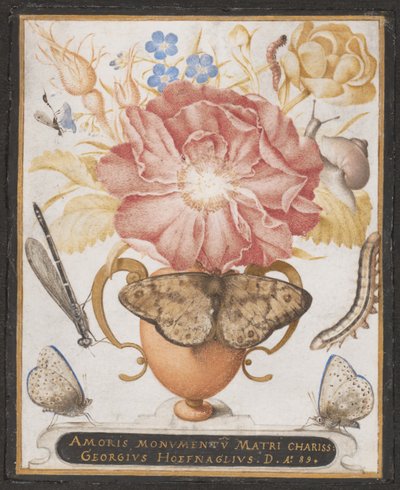 Nature morte avec des fleurs, un escargot et des insectes, 1589 - Joris Hoefnagel