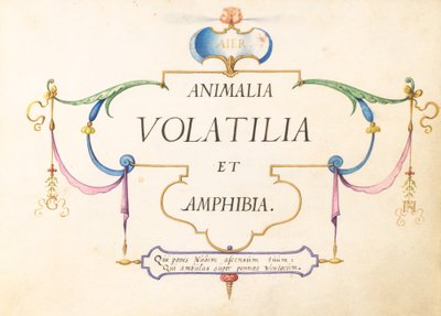 Page de titre - Joris Hoefnagel