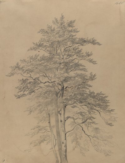  - Josef Kriehuber