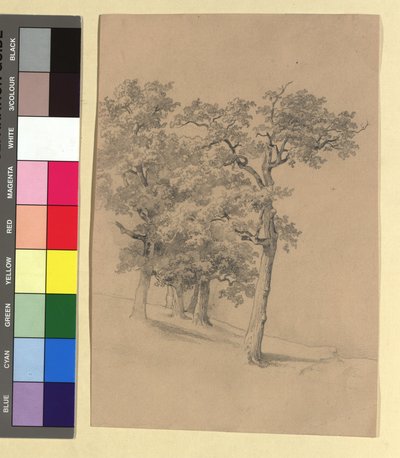 Étude d