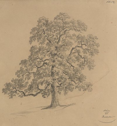  - Josef Kriehuber