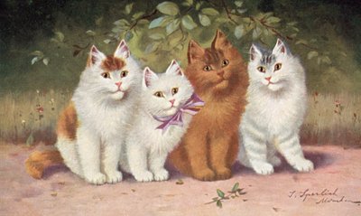 Carte postale de chat - Josef Sperlich