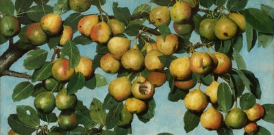 Poires mûrissantes, vers 1884-1885 (huile sur toile) - Joseph Decker