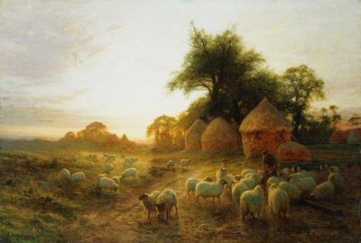 Ce coucher de soleil jaune mourant à l