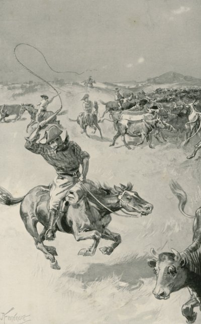 Rassemblement de bétail dans le Queensland - Joseph Finnemore
