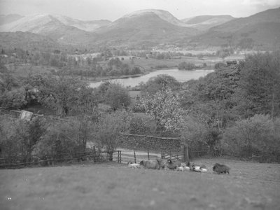Vue de moutons broutant dans un champ avec des agneaux, avec en arrière-plan un lac, des collines et des forêts. - Joseph Hardman