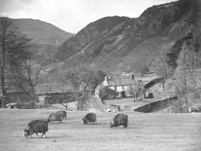 Moutons en train de brouter dans un champ avec la ferme et les collines derrière. - Joseph Hardman