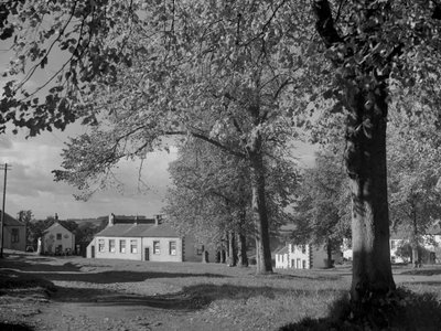 Arbres en feuilles et vue sur les bâtiments du village - Joseph Hardman