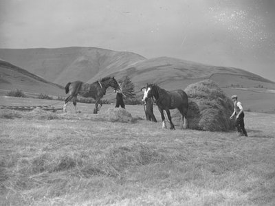 Deux chevaux tirant des traîneaux - Joseph Hardman