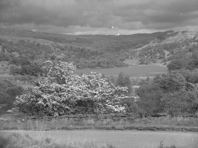Vue sur un lac à Rydal - Joseph Hardman