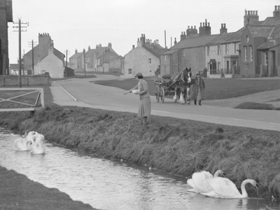 Femme nourrissant des cygnes à Allonby avec un homme conduisant un cheval et une charrette sur la route - Joseph Hardman