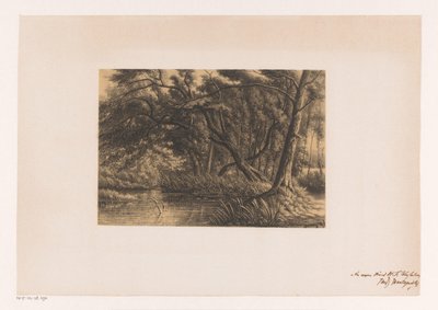 Paysage forestier avec étang - Joseph Hartogensis