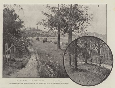 Bois de Churchyard Bottom, Highgate, dont la Spoliation est en Discussion - Joseph Holland Tringham