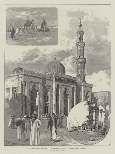 La Vie en Égypte - Joseph Holland Tringham