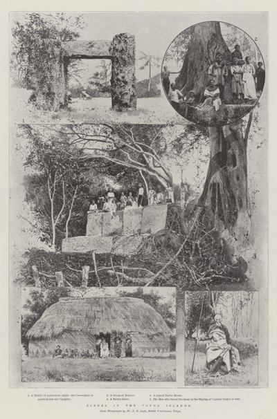 Scènes dans les Îles Tonga - Joseph Holland Tringham
