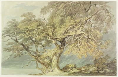 Un grand arbre, vers 1796 - Joseph Mallord William Turner