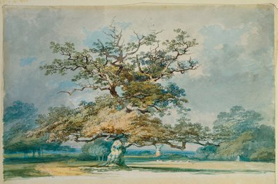 Un paysage avec un vieux chêne - Joseph Mallord William Turner