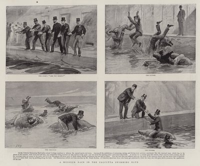 Une course de Mussuck dans la piscine de Calcutta - Joseph Nash