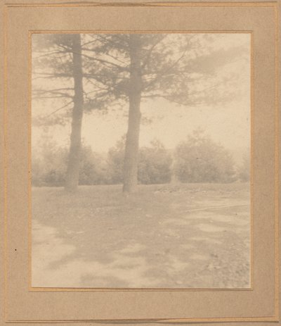 Paysage avec arbres - Joseph T. Keiley