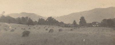 Paysage avec arbres et montagnes, c. 1900 (photo) - Joseph T. Keiley