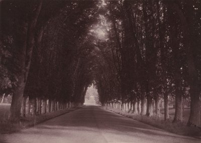Allée, Château de Grand-Vaux, Savigny-sur-Orge, the Family Home of Vigier,c. 1855 (photo) - Joseph Vigier