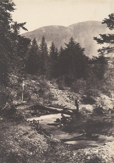 Torrent de la cascade des Demoiselles, Bagnères de Luchon, 1853 - Joseph Vigier
