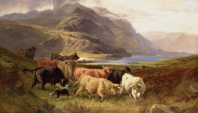 Bétail des Highlands avec un colley - Joseph and Adam, Joseph Denovan Adam