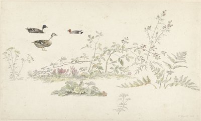 Feuille d