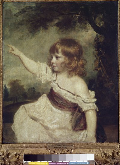 Maître Hare (Francis George Hare) - Joshua Reynolds