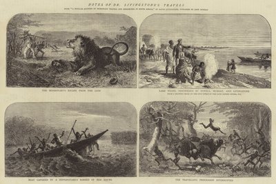 Notes des voyages du Dr Livingstone - Josiah Wood Whymper