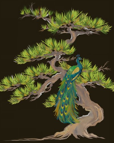 Paon sur une branche de pin - Josie George