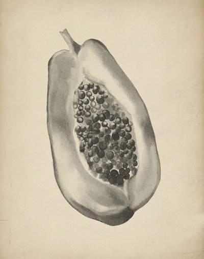 Demi-papaye tropicale - Josie George