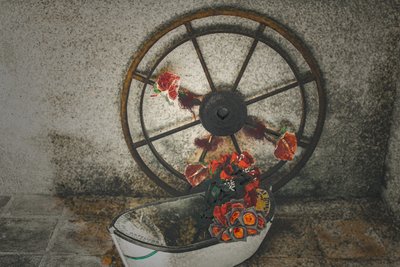 Flowers for the Mariners, de la série Chapelle du Canal, 2016 (photographie) - Joy Lions