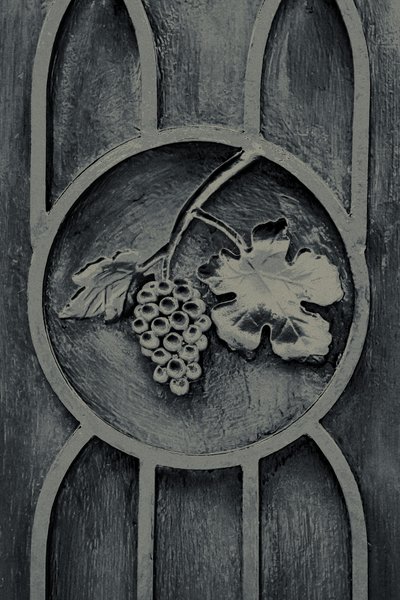 Fruits of the Garden, de la série The Observant, 2016 (photographie) - Joy Lions