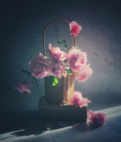  - Judy Tseng