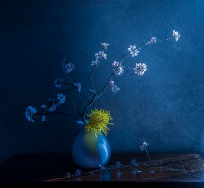  - Judy Tseng