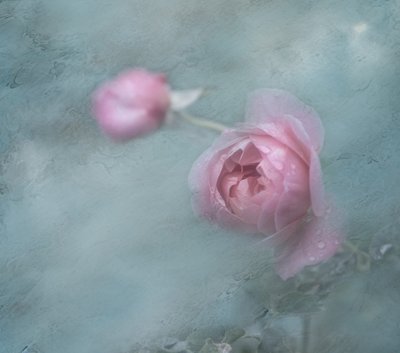  - Judy Tseng