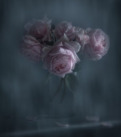  - Judy Tseng